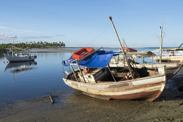 Brezilyalı tekneler düşük gelgit Nordeste Bahia — Stok fotoğraf