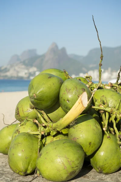 Green Coconuts Ipanema Beach Rio de Janeiro Brazil — Stock Photo, Image