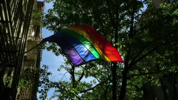 Luminosa bandiera dell'arcobaleno dell'orgoglio gay NYC — Video Stock