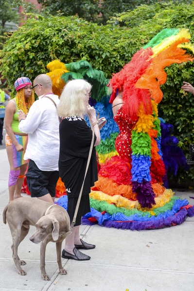 Dog and Drag Queens in Rainbow Dresses Gay Pride Parade — Stock Fotó