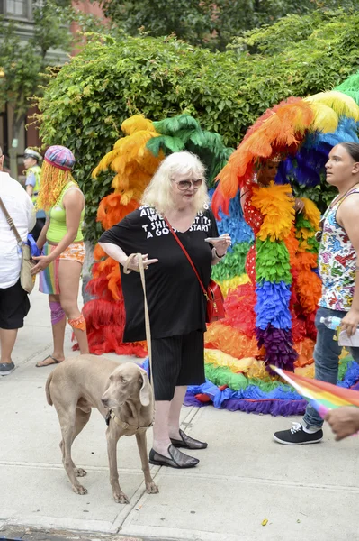 Dog and Drag Queens in Rainbow Dresses Gay Pride Parade — Stock Fotó