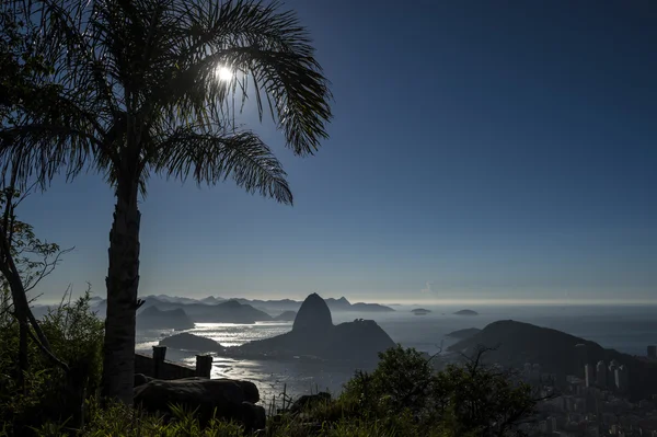 Rio de Janeiro Brésil Lever de soleil Palmier Pain de sucre Montagne — Photo