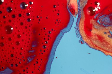 Nehir ya da delta şeklinde akrilik. Güzel dalgalar ve dalgalar oluşturan kırmızı, mavi ve altın renkleri.