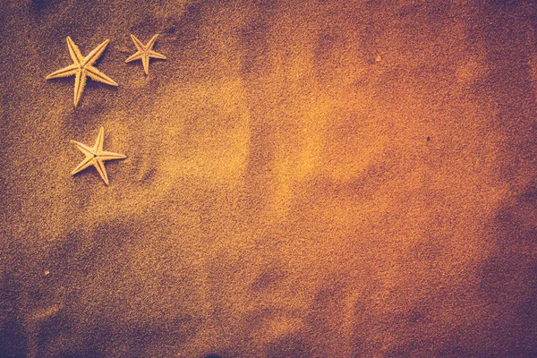 Tło Piasek Morza Który Jest Otoczony Przez Rozgwiazdy Pomarańczowy Lub — Zdjęcie stockowe