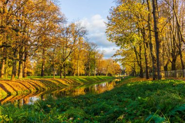 Sonbahar Alexandrovsky Park manzarası. Gölet sokakları, sarı ağaçlar, yeşillikler.