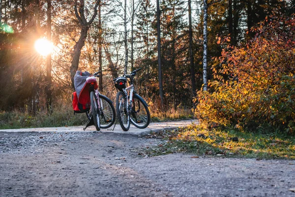 Two bike on the lawn trip walk tourism vacation in nature sport activity freedom