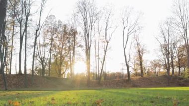 Peyzaj Parkı güneşli sonbahar kırsal güneşin çimenlik ışınları