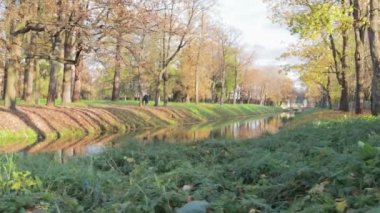 Sonbahar Alexandrovsky Park manzarası. Gölet sokakları, sarı ağaçlar, yeşillikler.