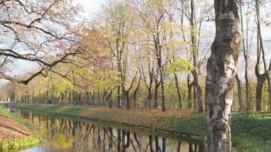 Sonbahar Alexandrovsky Park manzarası. Gölet sokakları, sarı ağaçlar, yeşillikler.