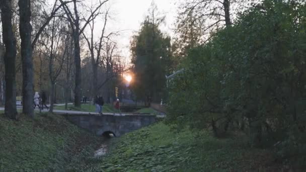 Paesaggio Autunno Parco Alexandrovsky Con Stagno Vicoli Alberi Gialli Colore — Video Stock