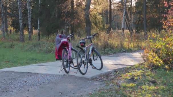 Два Велосипеда Газоне Прогулка Туризм Отдых Природе Спортивная Деятельность Свобода — стоковое видео