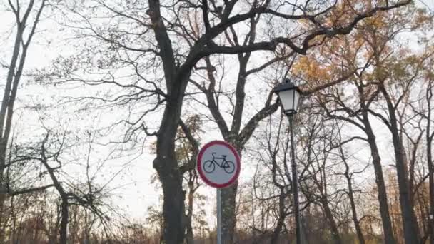 Tecken cykling i parken hälsosam livsstil transport väg — Stockvideo