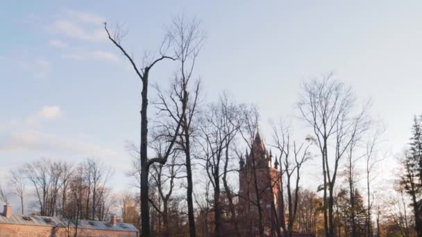 Fantaisie château paysage féerique magique sorciers Université — Video