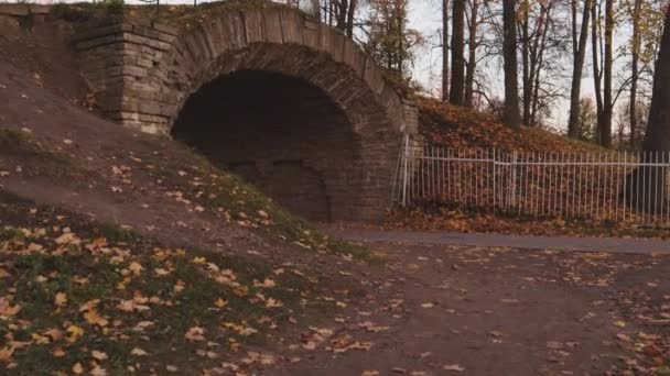 Landschap Brug Van Herfst Alexandrovsky Park Met Vijver Steegjes Gele — Stockvideo