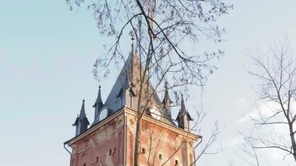 Fantasía Castillo Paisaje Mágico Hada Magia Ensueño Wizards University — Vídeo de stock