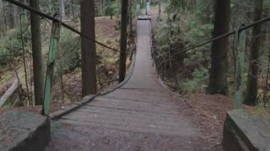 Ormanın vahşi ormanlarında asma köprü Doğa aşırı yürüyüş yapar