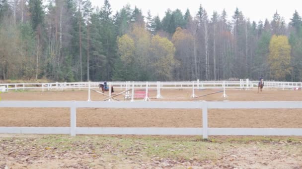 Hipódromo Para Espectáculo Equitación Inglés Salto Caballo Entrenamiento Arena Barrera — Vídeos de Stock