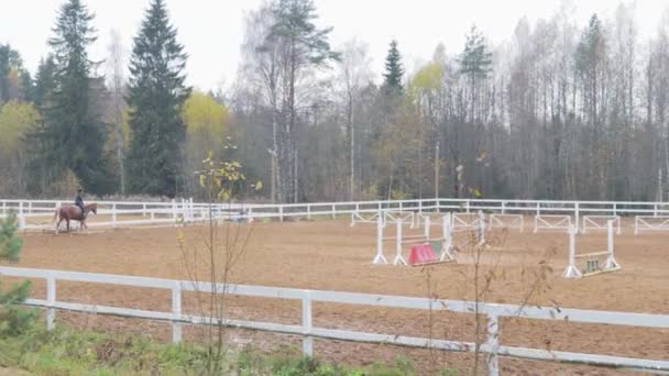 Hipódromo Para Espectáculo Equitación Inglés Salto Caballo Entrenamiento Arena Barrera — Vídeo de stock