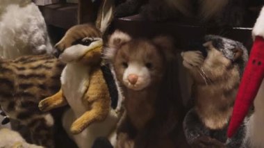 Çocukların yumuşak oyuncakları, hayvanların tavşan gelincik kaplan inek zürafası.