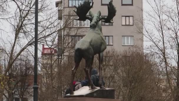 Touristengruppe Denkmal Für Die Elchjagd Der Wyborger Stadt Jussi Mantynen — Stockvideo