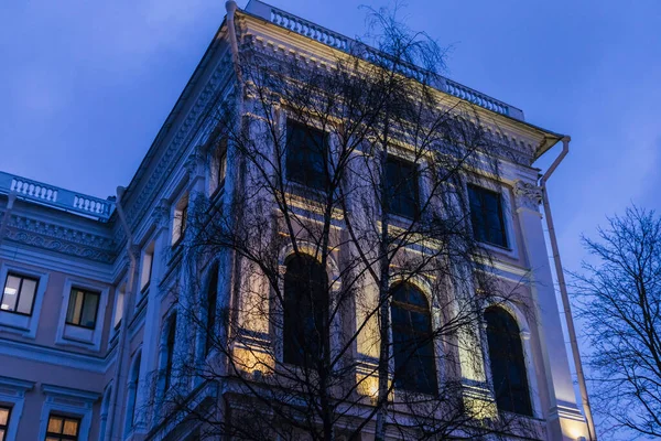 Palácio Estilo Arquitetônico Iluminação Barroca Anichkov Palácio Árvore Coluna Histórica — Fotografia de Stock