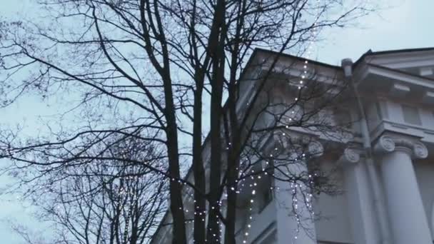 宫殿建筑风格巴洛克照明阿尼奇科夫宫树柱历史 — 图库视频影像