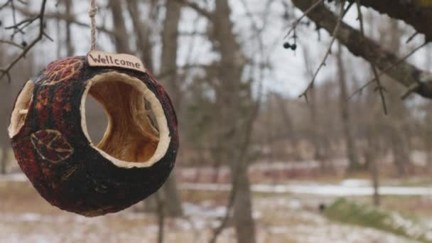 Creatief Feeder Gezellig Huis Voor Vogels Kokosnoot Welkom Gastvrijheid Eco — Stockvideo