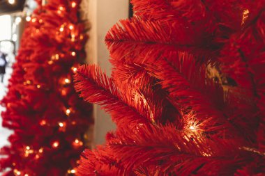 Kafe Caddesi Noel ağacı süslemeleri bina duvarında.