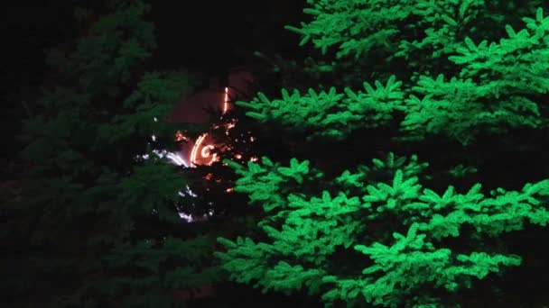 Sihirli orman parıldayan neon Noel ağacı deseni fantezi masalı — Stok video