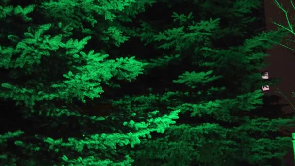 Magisch bos gloeiende neon kerstboom textuur fantasie sprookje — Stockvideo