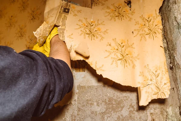 Eski duvar kâğıtlarını sökmek duvarları onarmak eldivenleri tamir etmek