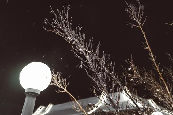 Ночные Заснеженные Весла Заднем Дворе Снежном Фонаре — стоковое фото