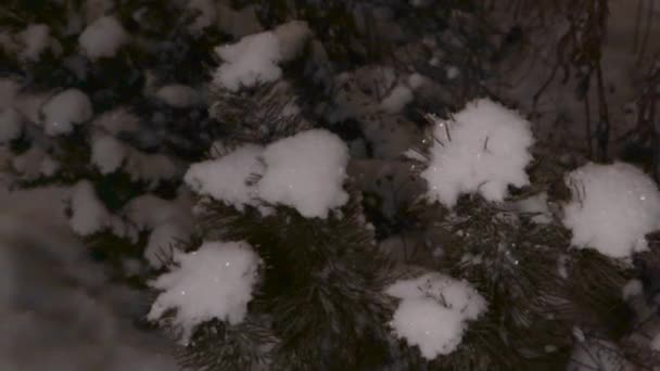 Nacht Besneeuwde Achtertuin Peddels Sneeuw Landschap Lantaarn — Stockvideo