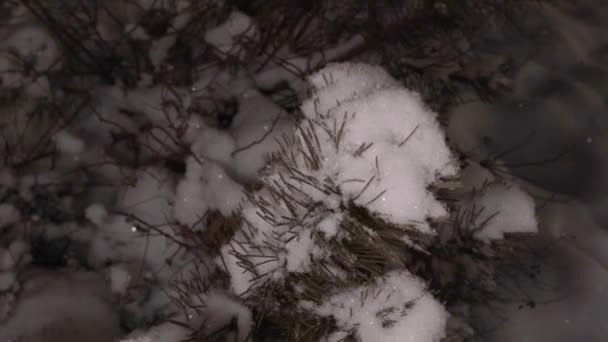 Pagaies Arrière Cour Couvertes Neige Nuit Dans Lanterne Paysage Neige — Video