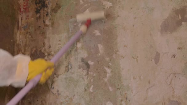 Peintre Travailleur Peint Les Murs Avec Rouleau Apprêt Finition Travail — Video