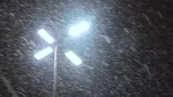 Night Snowfall Storm Natural Phenomenon Precipitation Winter Jams — Stock Video