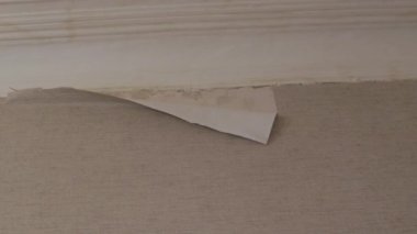 Yapışkan kötü çalışma, duvar kağıtlarını yapıştırmak, vinil, yüzey duvarlarını hazırlamak, daire yenileme.