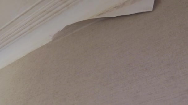粘贴墙纸胶卷准备墙面墙体公寓翻新工程 — 图库视频影像