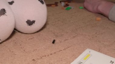 Bebek ve ebeveyn babası inşaat oyuncaklarını bir araya getiriyorlar.