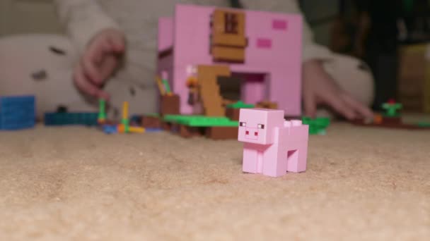 Lego Minecraft Set Creeper Alex Pig Parent Children Playing Fun — ストック動画