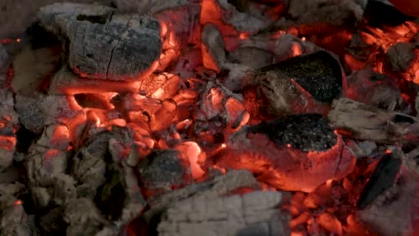 烤炉中炽热的红色煤块烧焦了烤炉的质感 — 图库视频影像