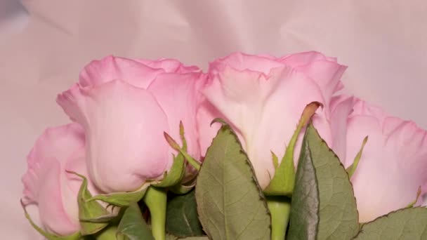 Kytice Krásné Růžové Růže Opasek Bowuzel Dárek Žena Dívka — Stock video
