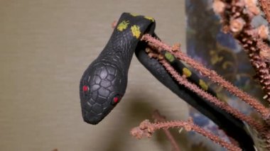 Ağaçtaki sahte yılan çocuklar için korkunç bir şaka.