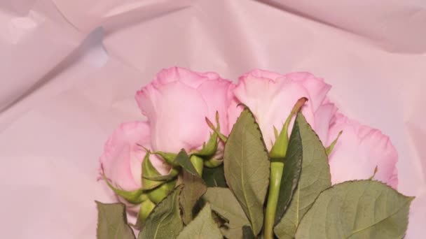 Bouquet Belle Rose Rosa Cintura Bowknot Regalo Donna Ragazza — Video Stock