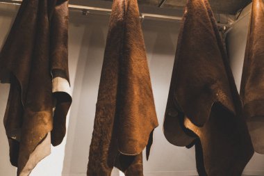 İnek postu, çiftlik hayvanı satışı kıyafet pazarı köyü yapıyor.