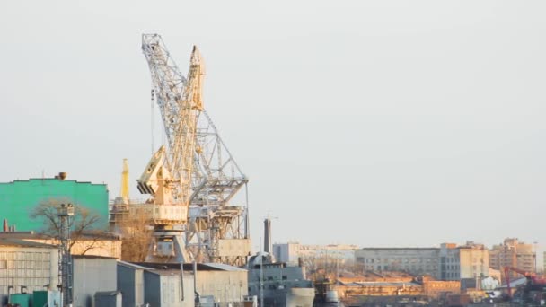 港口船舶修理装卸起重机码头航运.物流公司概念 — 图库视频影像