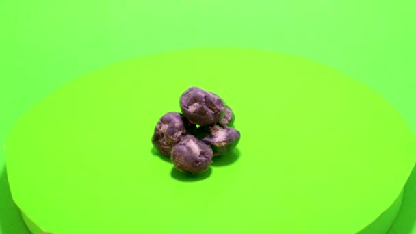 Estragado blueberry isolado cromakey molde decomposição armazenamento — Vídeo de Stock