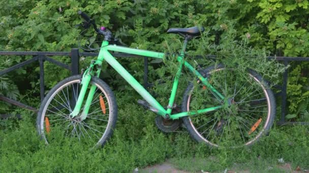 Πράσινο Ποδήλατο Σταθμευμένο Πράσινο Bushes Concept Οικομεταφορών — Αρχείο Βίντεο