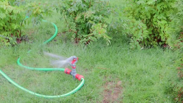 Spray sprinkler för gräsmatta trädgård värme bevattning — Stockvideo