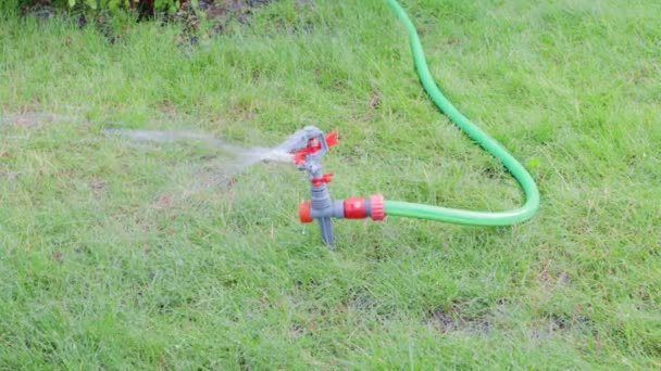 芝生の庭の熱散水のためのスプレースプリンクラー — ストック動画